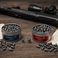 Plombs de calibre 5,5 mm et 4,5 mm, prêts pour le tir sur cible avec une carabine.
