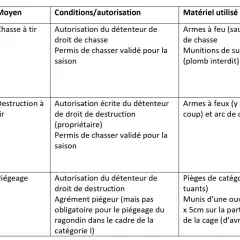Tableau des méthodes de destruction du ragondin : chasse à tir avec carabine 20 joules, destruction à tir, et piégeage.
