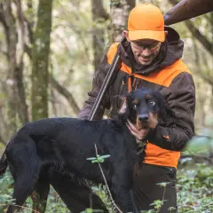 Chasse à la bécasse : un chasseur et son chien noir dans la forêt. Le chien semble surpris, le chasseur le caresse.