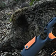 Un sanglier abattu, prêt pour le tir du sanglier au fusil lisse. Le fusil moderne repose sur sa fourrure épaisse.