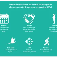Icônes illustrant différents aspects de la chasse : planning, accord, chasseur, grand et petit gibier, affût, approche, battue. Ce type de chasse est réglementé.