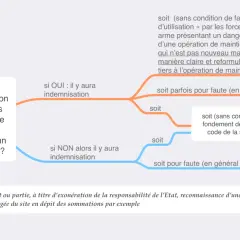 Schéma juridique sur l'indemnisation des tiers lors d'émeutes. La question de savoir à partir de combien de joules d'une arme est dangereux n'est pas abordée.