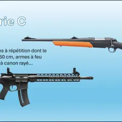 Armes de catégorie C : fusils de chasse, carabines à répétition ou à un coup. La réglementation précise combien d'armes peut on détenir en catégorie C.