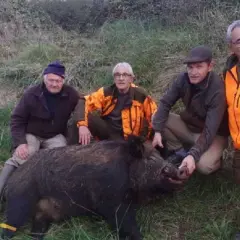 Quatre chasseurs posent fièrement avec un sanglier abattu. Le calibre 7x65r a fait ses preuves pour ce gibier.