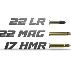 Comparaison visuelle des munitions : 22 LR, 22 MAG et 17 HMR.