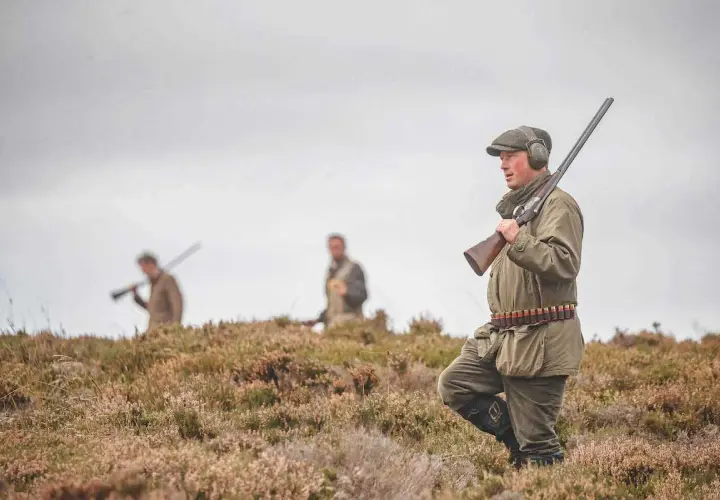 Chasseurs en tenue, fusils à l'épaule, dans un paysage de landes. L'interdiction du plomb tir sportif est une préoccupation croissante.