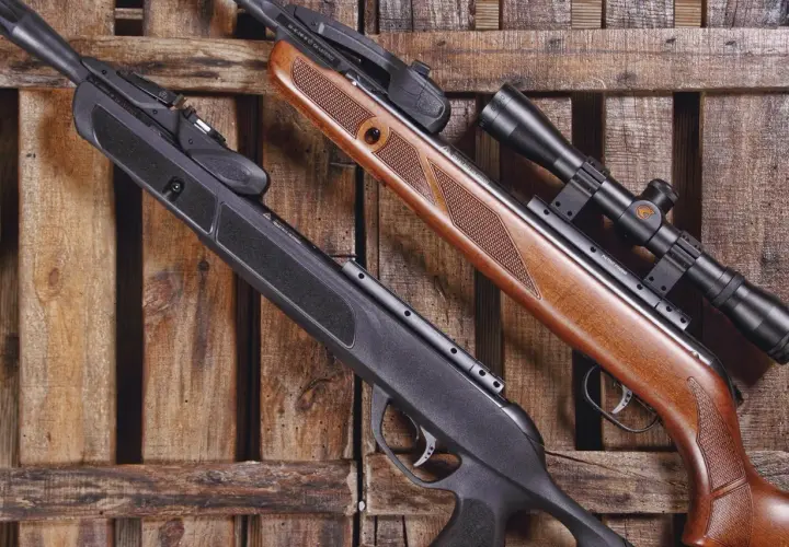 Deux carabines à plomb, l'une noire et l'autre en bois, reposent sur des lattes de bois. Le ressort de la carabine à plomb 30 joules est prêt à l'action.