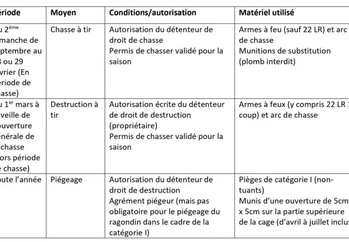 Tableau des méthodes de destruction du ragondin : chasse à tir avec carabine 20 joules, destruction à tir, et piégeage.