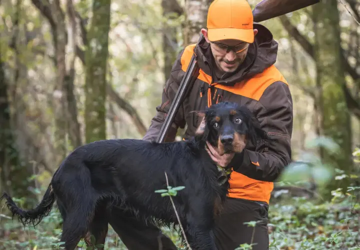 Chasse à la bécasse : un chasseur et son chien noir dans la forêt. Le chien semble surpris, le chasseur le caresse.