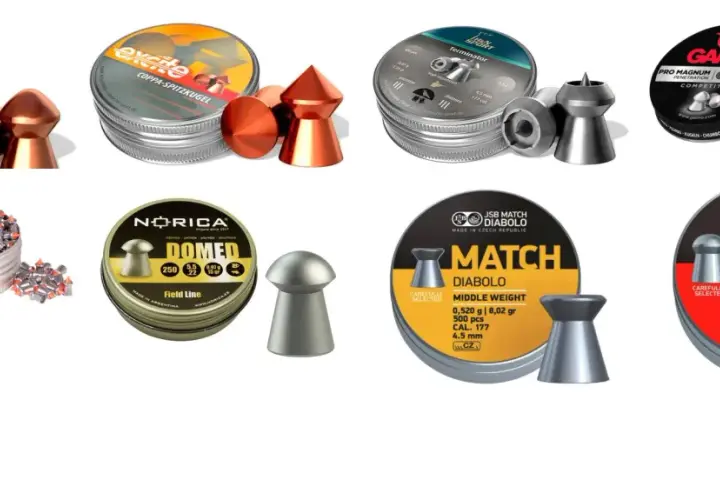 Divers plombs pour carabine à plomb de différents calibres et marques : Gamo, H&N, Norica, JSB.