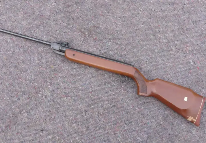 Carabine à plomb Diana, la plus puissante, avec sa crosse en bois brun et son canon long, prête pour le tir de précision.