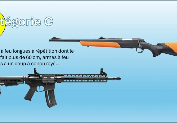 Armes de catégorie C : fusils de chasse, carabines à répétition ou à un coup. La réglementation précise combien d'armes peut on détenir en catégorie C.