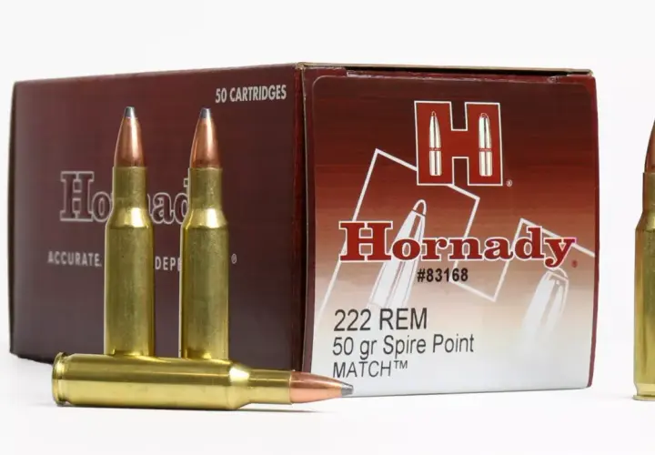 Cartouches Hornady calibre 223 REM, 50 grains Spire Point MATCH, idéales pour la chasse de précision.