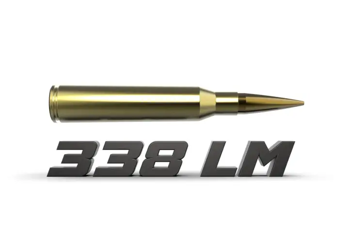 Une cartouche 338 Lapua Magnum, idéale pour la chasse au gros gibier, avec son calibre imposant.