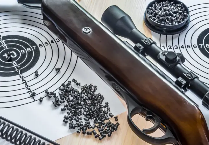 Carabine à air comprimé avec lunette, plombs et cibles. La meilleure carabine nitro piston pour le tir de précision.