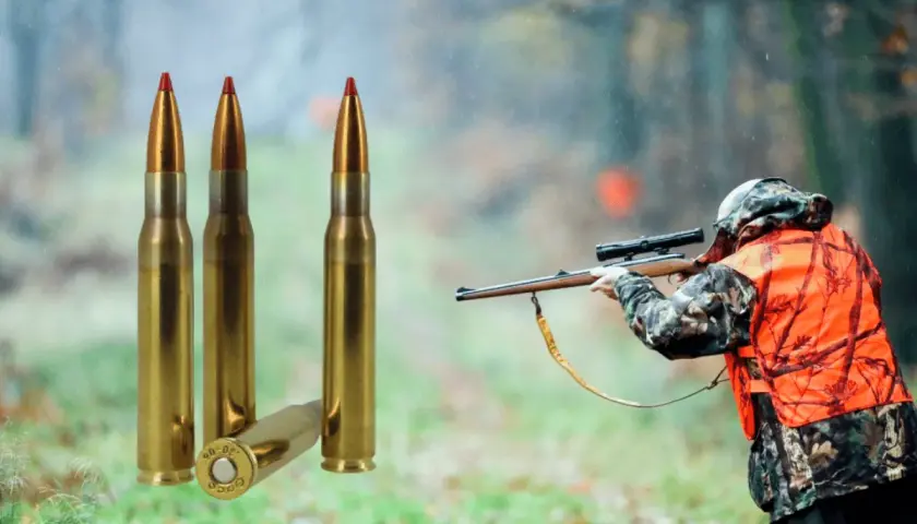 Chasseur en action, prêt à tirer avec sa carabine. Trois cartouches de calibre carabine de chasse sont mises en avant.