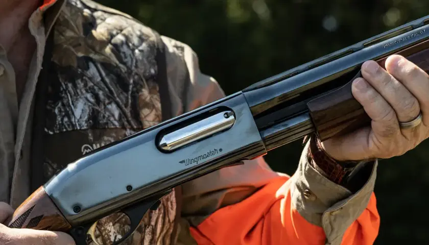 Un chasseur tient une arme Remington Wingmaster, un fusil de chasse classique, prêt pour l'action.