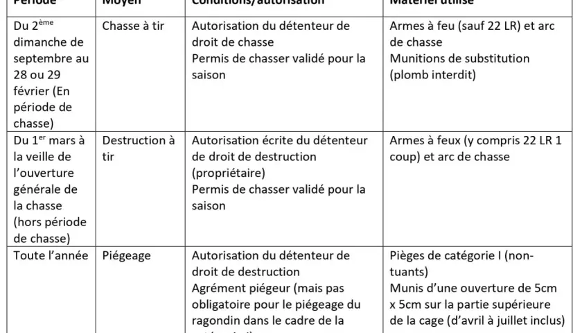 Tableau des méthodes de destruction du ragondin : chasse à tir avec carabine 20 joules, destruction à tir, et piégeage.