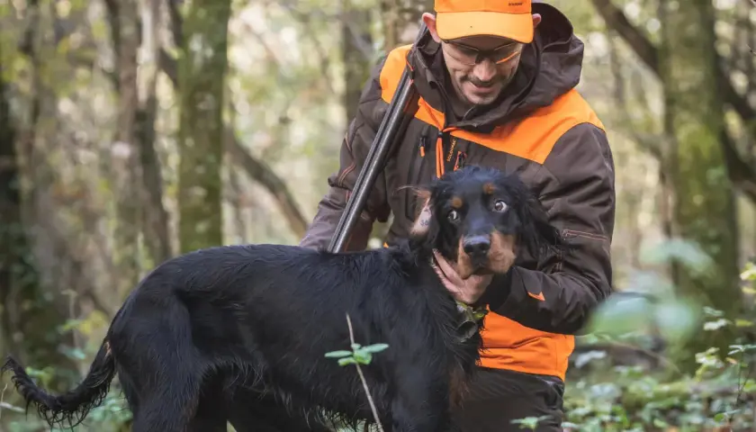 Chasse à la bécasse : un chasseur et son chien noir dans la forêt. Le chien semble surpris, le chasseur le caresse.