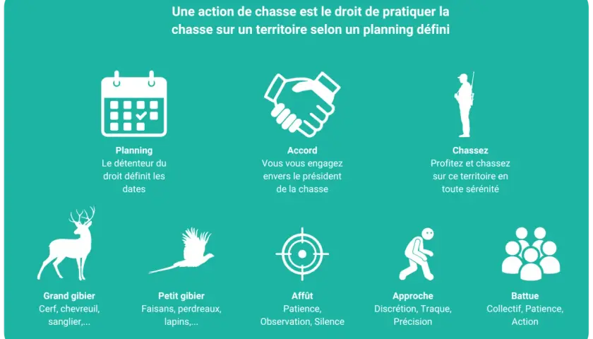 Icônes illustrant différents aspects de la chasse : planning, accord, chasseur, grand et petit gibier, affût, approche, battue. Ce type de chasse est réglementé.