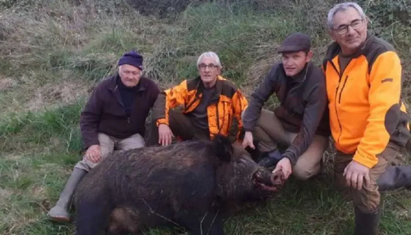 Quatre chasseurs posent fièrement avec un sanglier abattu. Le calibre 7x65r a fait ses preuves pour ce gibier.