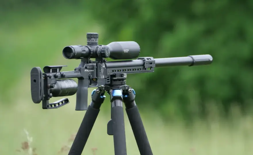 Carabine 100 Joules - Guide Complet pour Bien Choisir