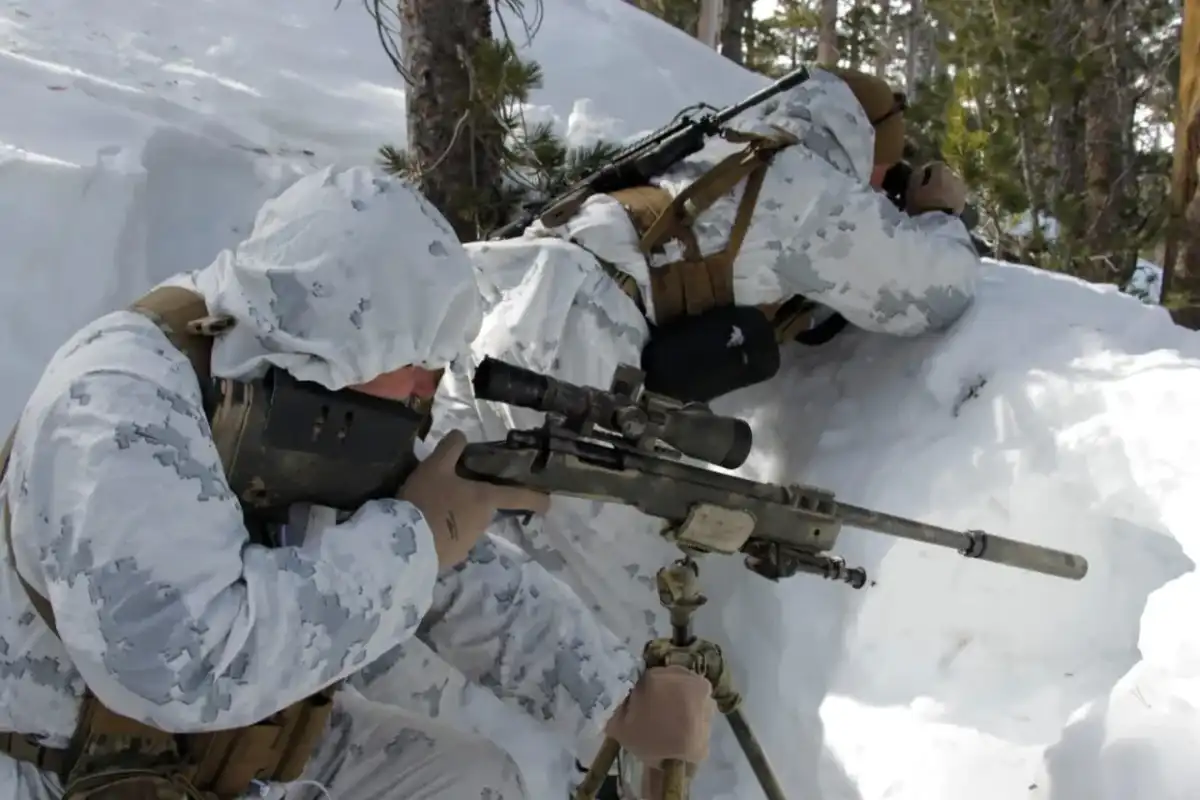 Fusil sniper américain - Lequel choisir et pourquoi ?