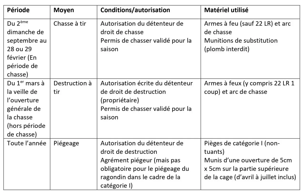 Tableau des méthodes de destruction du ragondin : chasse à tir avec carabine 20 joules, destruction à tir, et piégeage.