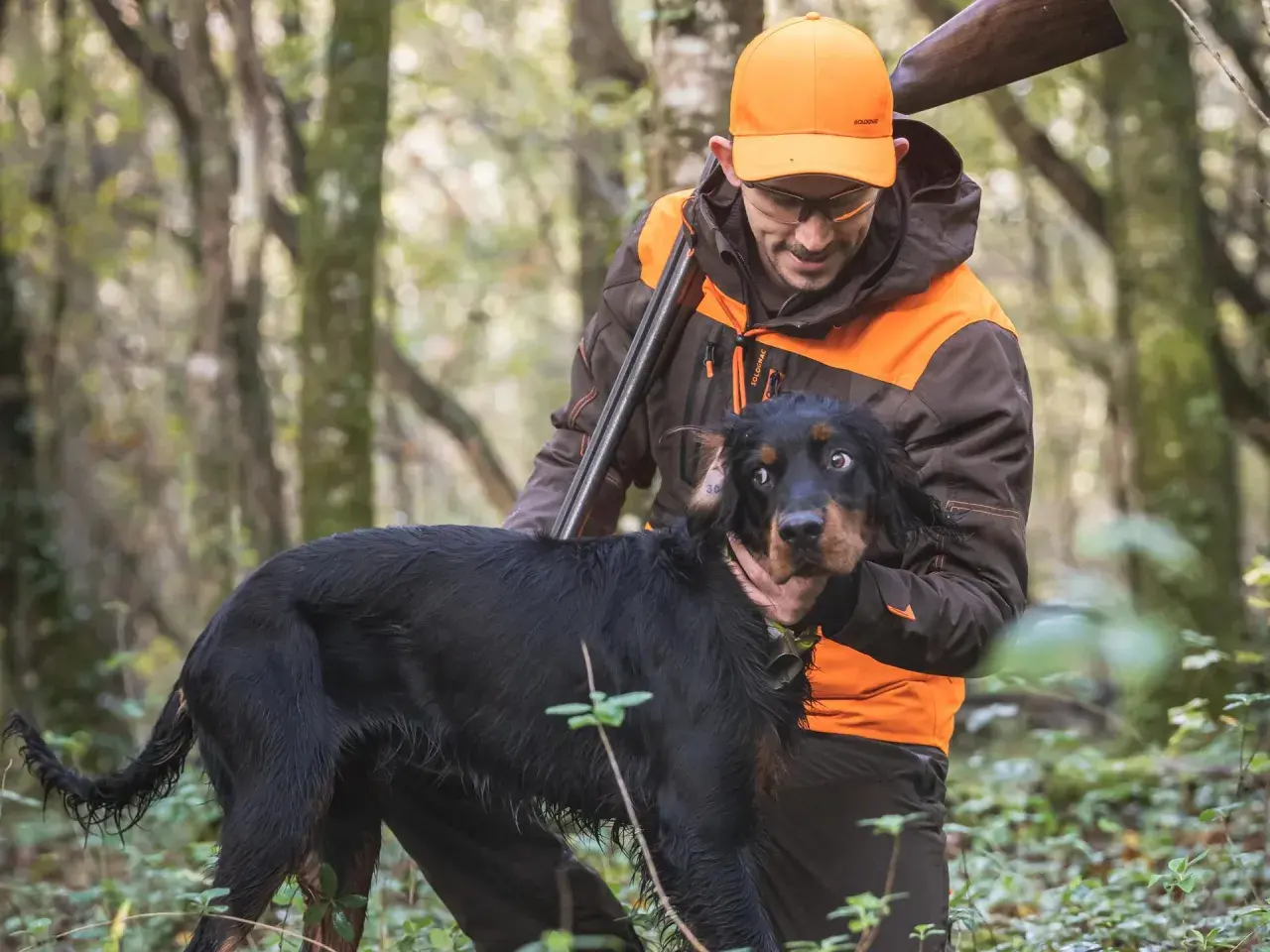 Chasse à la bécasse : un chasseur et son chien noir dans la forêt. Le chien semble surpris, le chasseur le caresse.