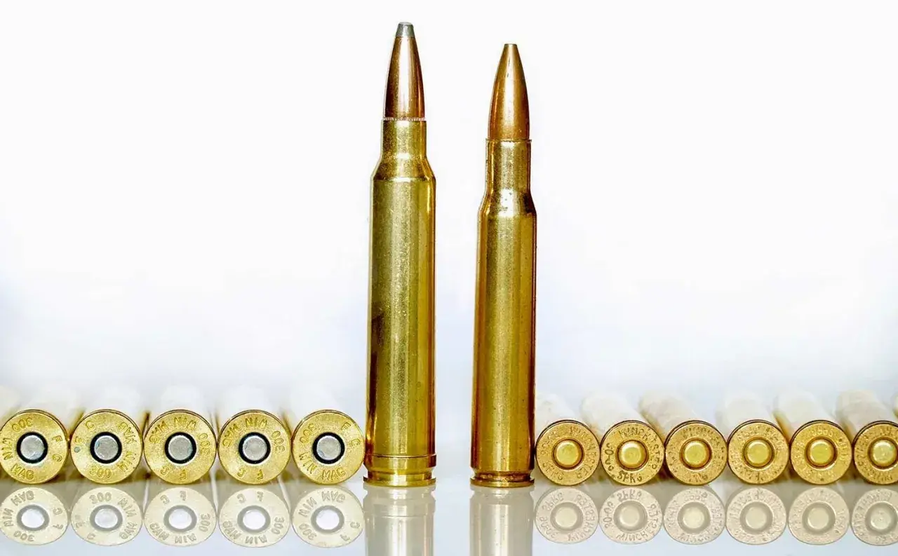 Comparaison visuelle entre une cartouche 300 Win Mag et une 30-06. Les deux sont alignées avec d'autres cartouches en arrière-plan.