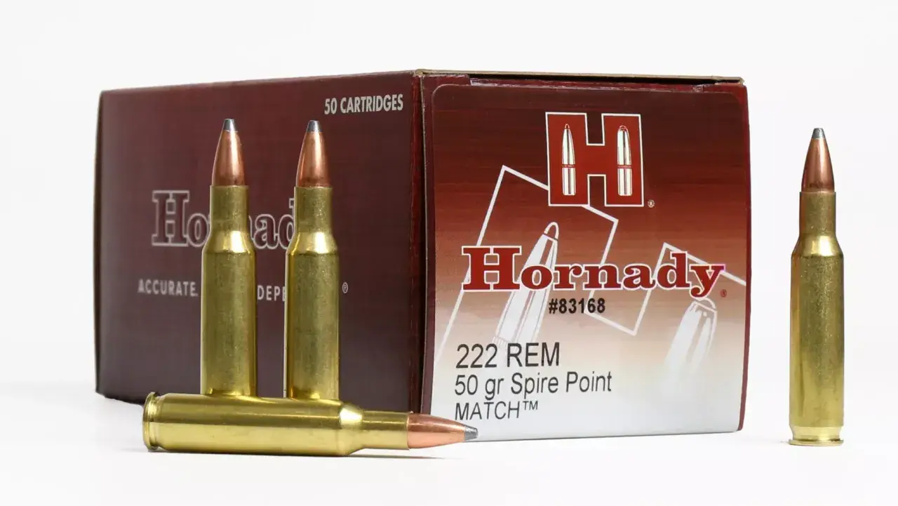 Cartouches Hornady calibre 223 REM, 50 grains Spire Point MATCH, idéales pour la chasse de précision.