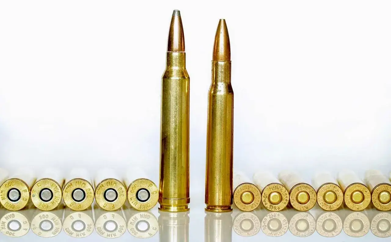 Comparaison visuelle : une cartouche 300 Win Mag plus grande &agrave; gauche, une 30-06 &agrave; droite.