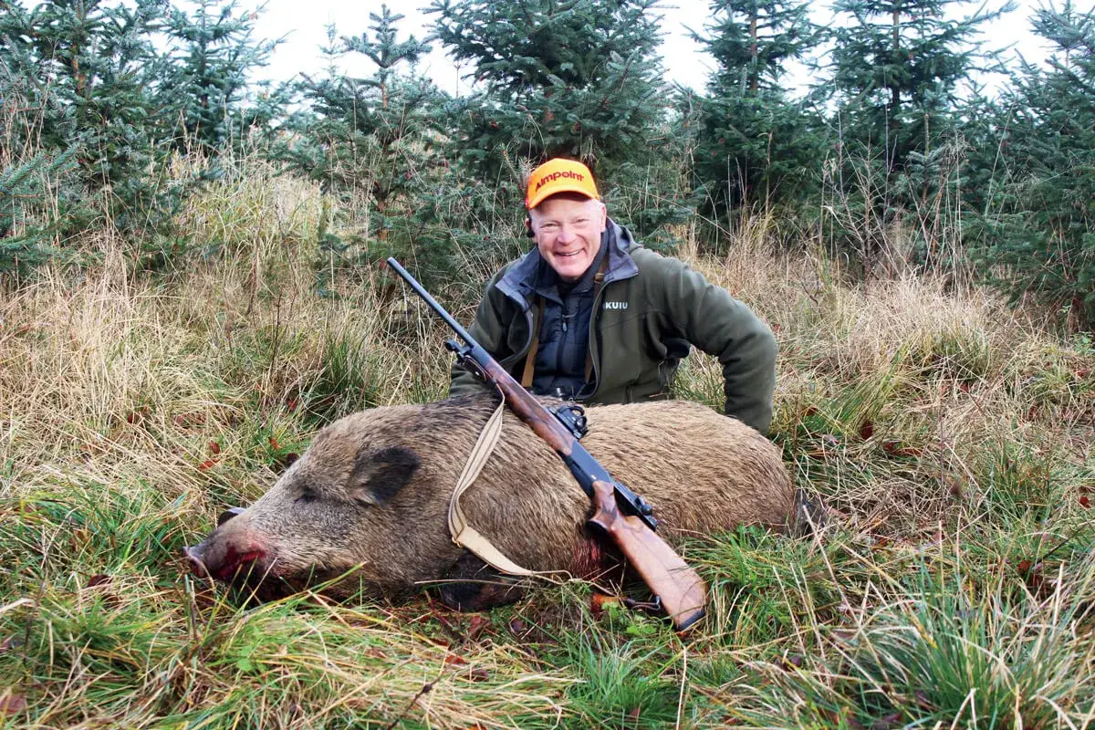 Chasseur souriant avec un sanglier abattu, fusil &agrave; point rouge &agrave; port&eacute;e de main. Une belle prise apr&egrave;s une chasse r&eacute;ussie.