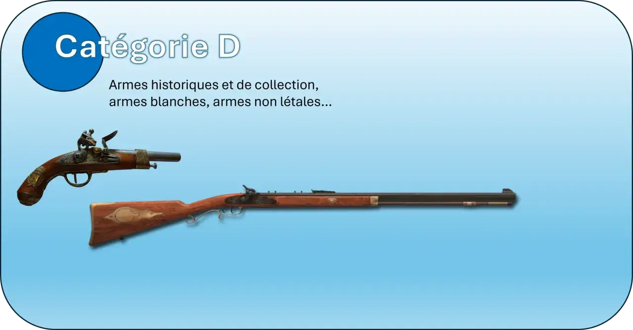 Pistolet &agrave; silex et fusil anciens, cat&eacute;gorie D. La puissance en joules est r&eacute;glement&eacute;e pour ces armes historiques.