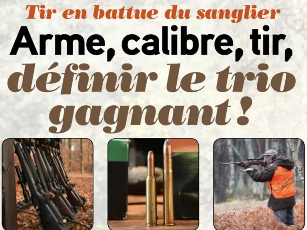 Armes de chasse, munitions et chasseur en action. Quel calibre pour le sanglier ? L'image explore le trio gagnant pour la chasse au sanglier.