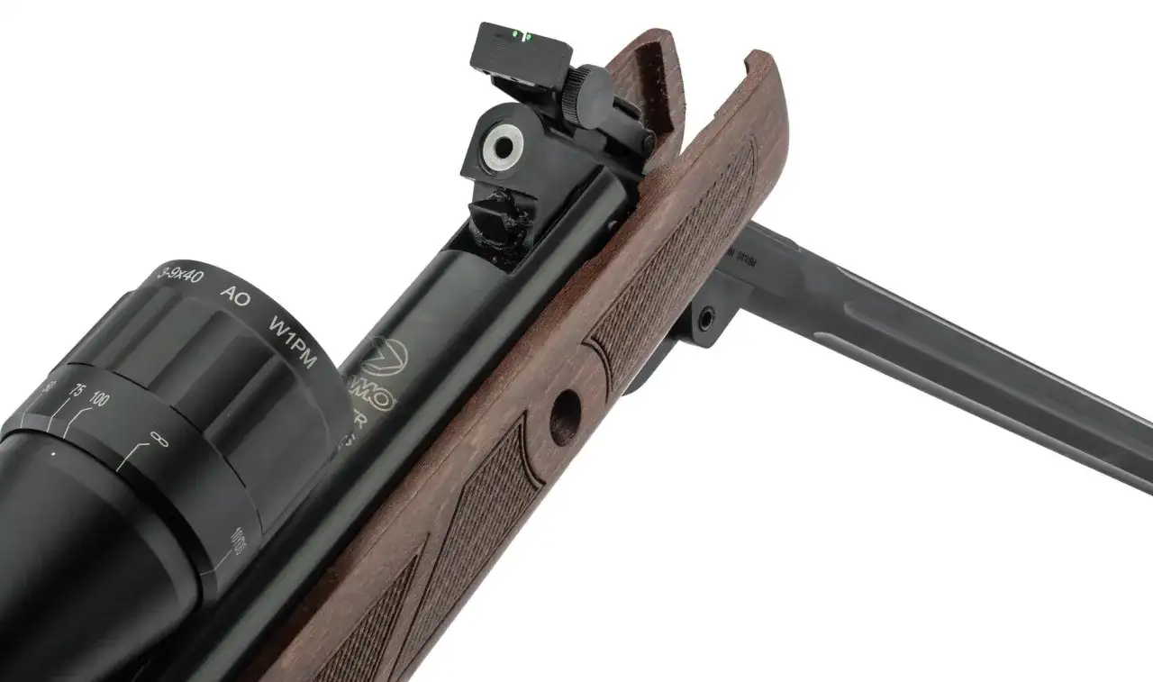 D&eacute;tail d'une carabine Gamo Hunter 440, avec lunette 3-9x40 AO W1PM. Avis sur ce mod&egrave;le.