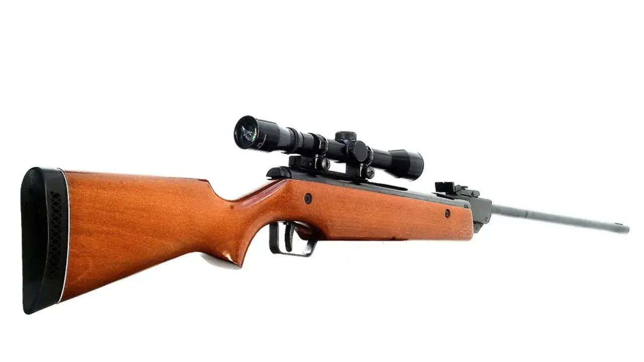 Carabine &agrave; air comprim&eacute; avec lunette. Pour savoir dans quel sens mettre un plomb dans une carabine, il faut observer le canon.